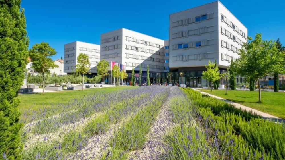 Discover Tranquil Productivity at Akademis Academia: Dubrovnik's Premier Co-Working Space