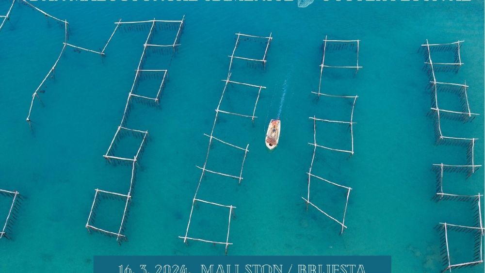 Shellfish Extravaganza: Ston Oyster Day Returns to Celebrate Pelješac's Culinary Heritage with Charity and Tradition