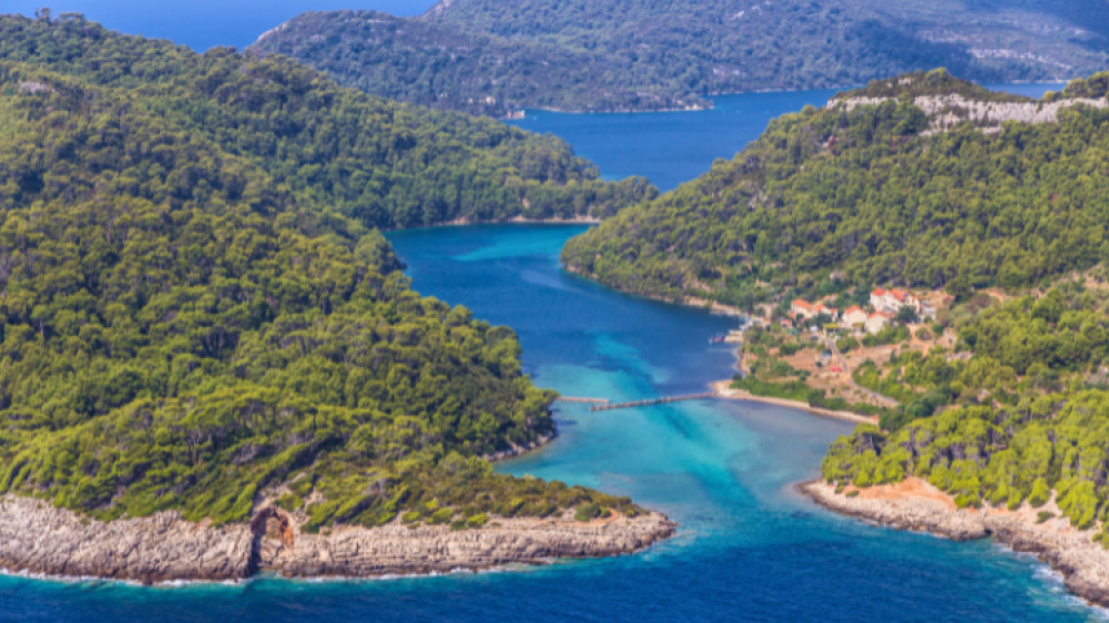 Mljet in a Day: The Perfect Escape for Digital Nomads in Dubrovnik